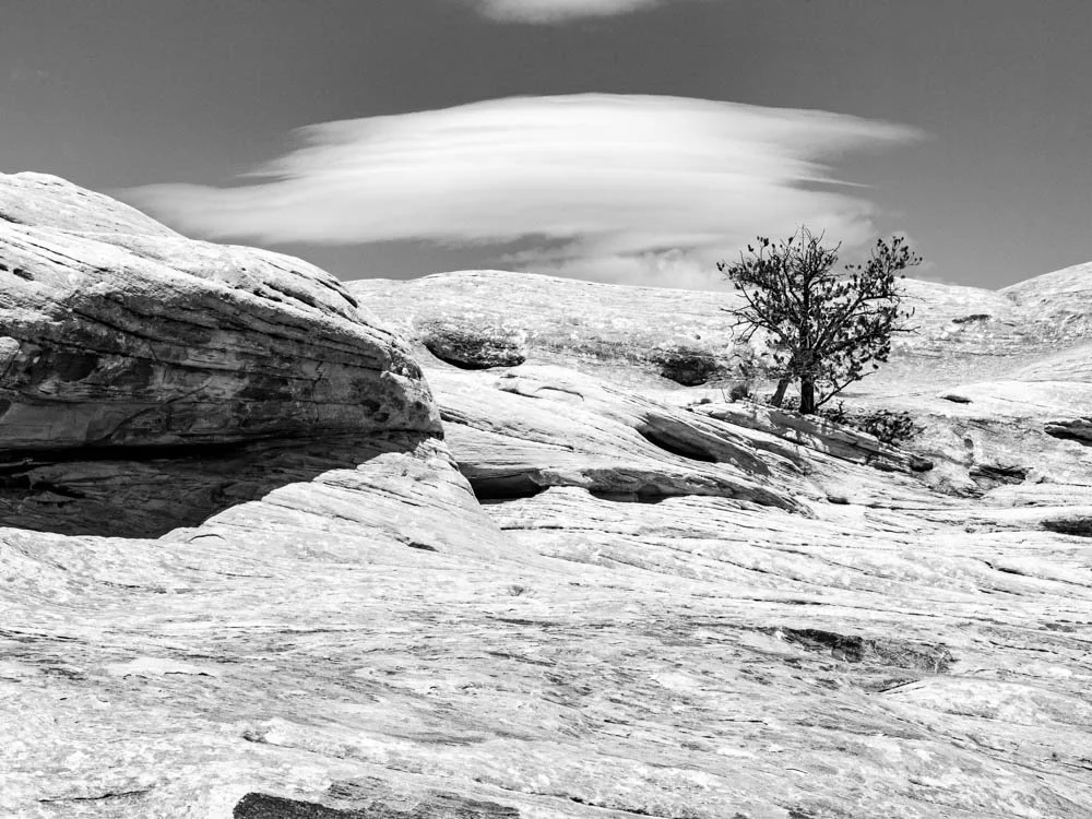 What the Desert Knows