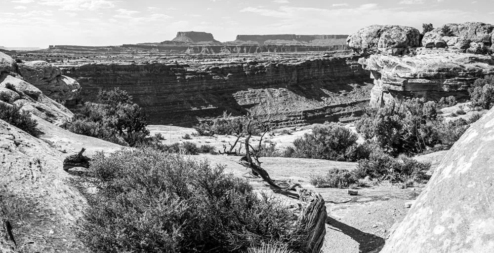 Black and white fine art landscape photograph layering a bleached foreground log, living desert sage, ancient canyon walls, and a distant mesa, Needles District, Canyonlands National Park, Moab Utah.