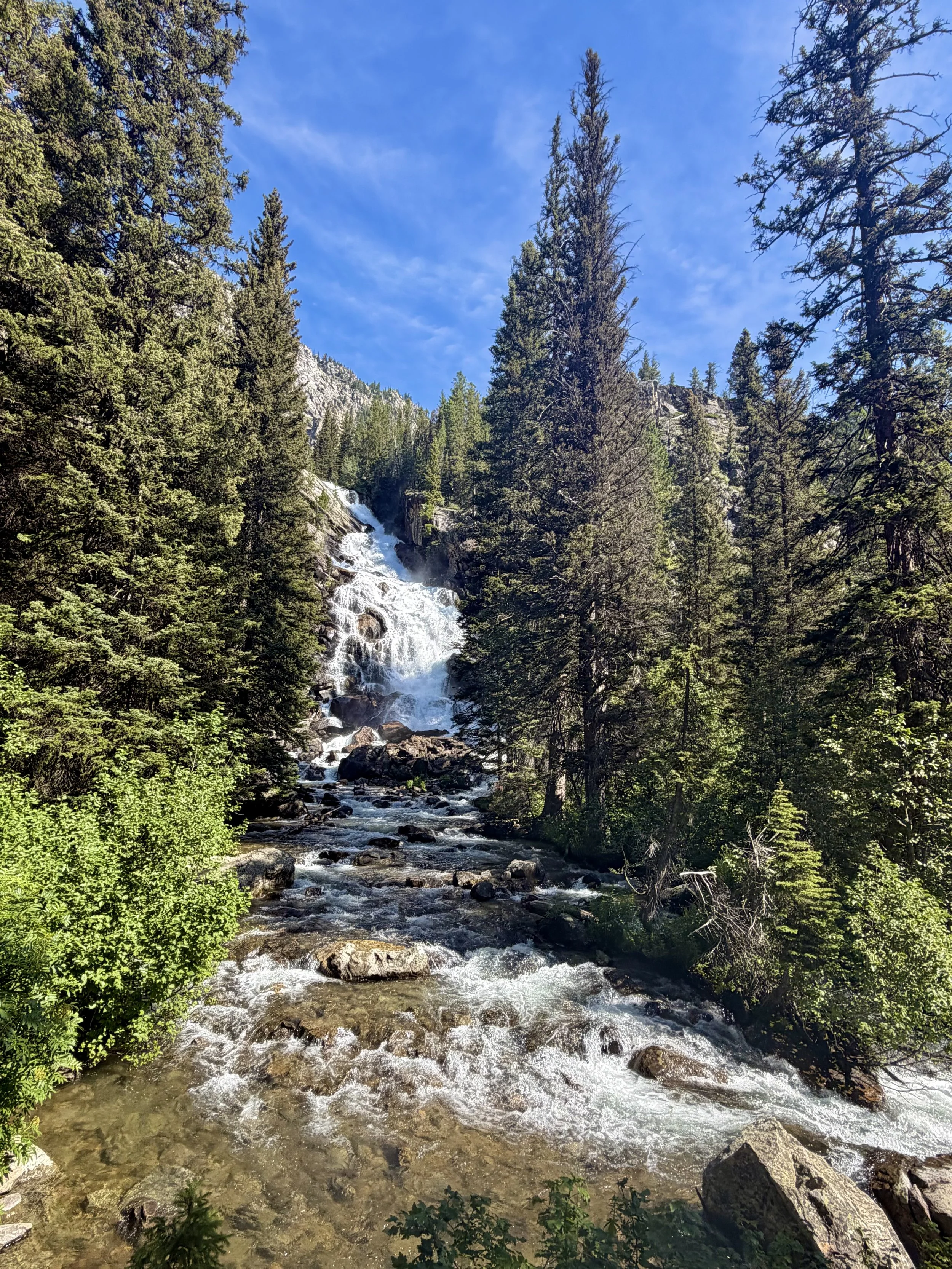 IMG_7334.jpeg