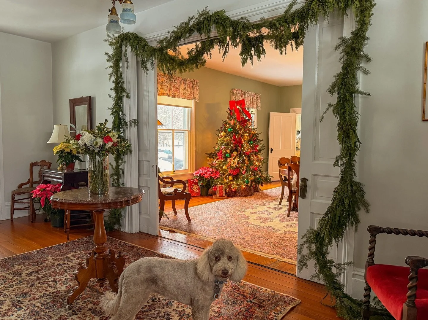 Christmas in the country ✨🎄🐶

How is Christmas only one week away?! Time flies when you&rsquo;re having fun bringing holiday cheer to folks around Richmond. 😍🪄❤️

But seriously, we need to buckle down and start wrapping gifts for our own families