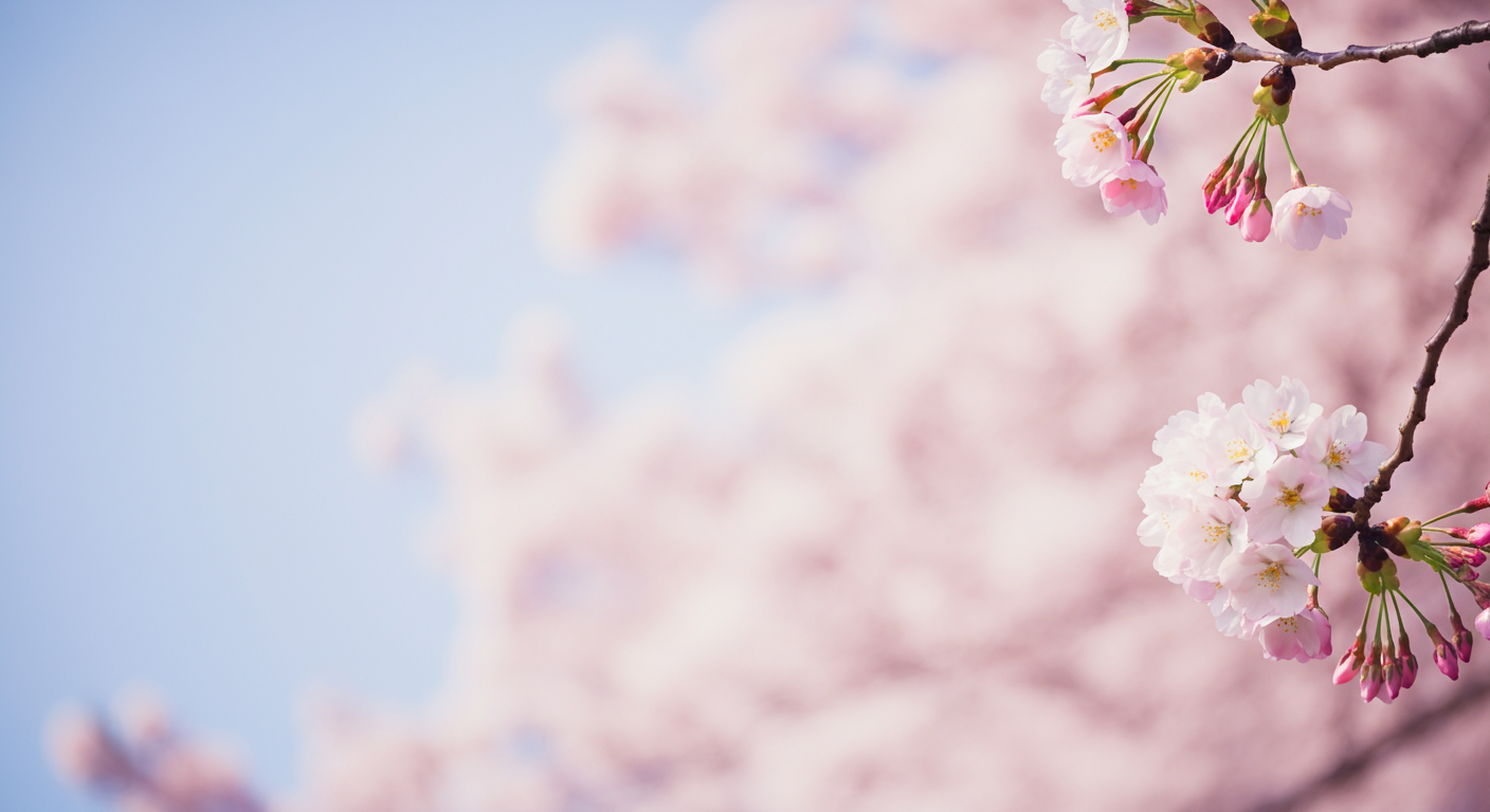 Cherry-Blossoms-3-imgg-gi3-57v7hv97.png