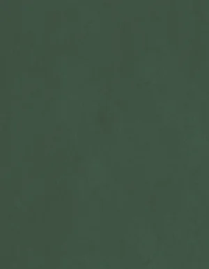 Maureen Gallagher PhD