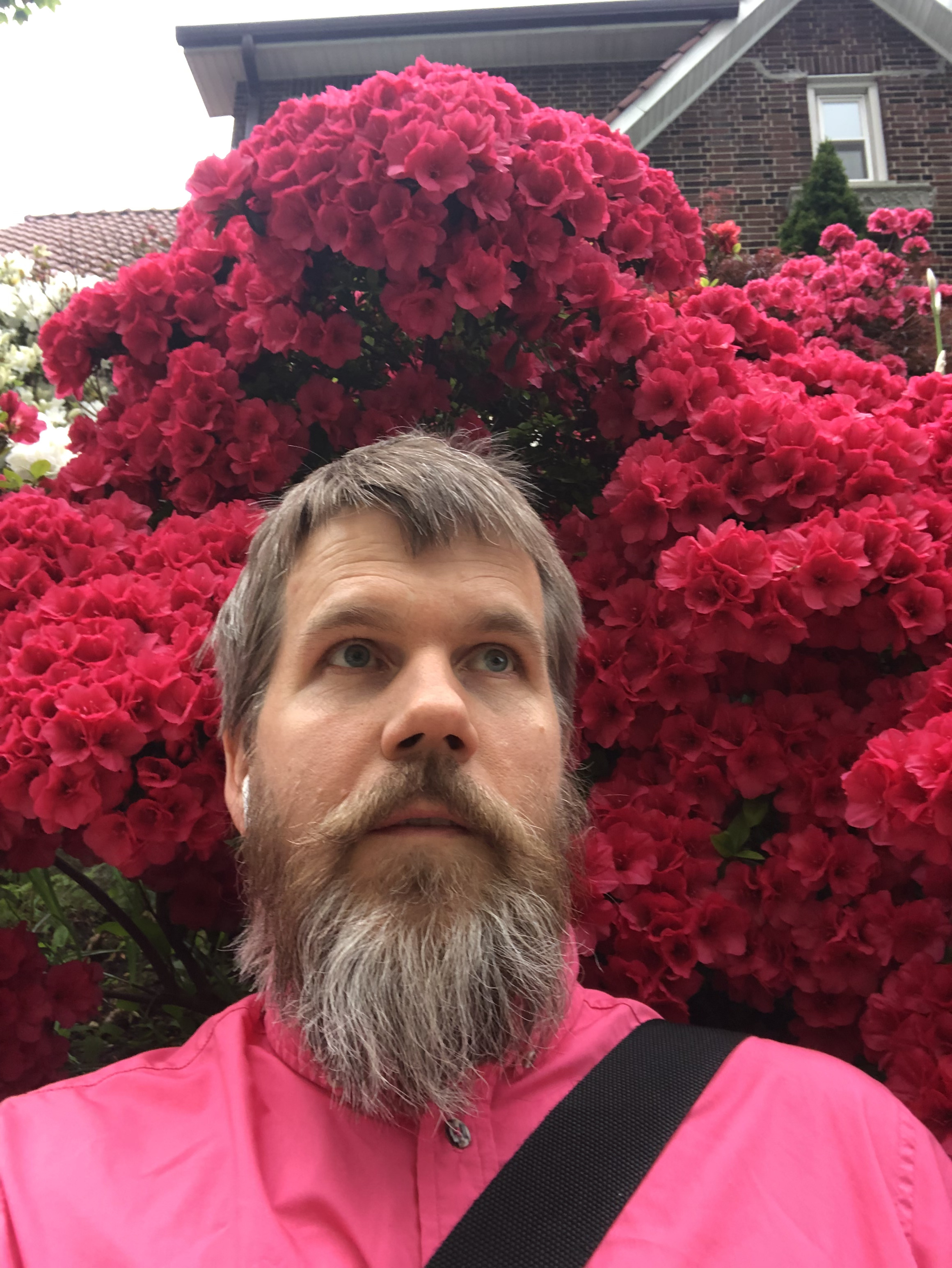 Meet the Team — Yonkers Arts