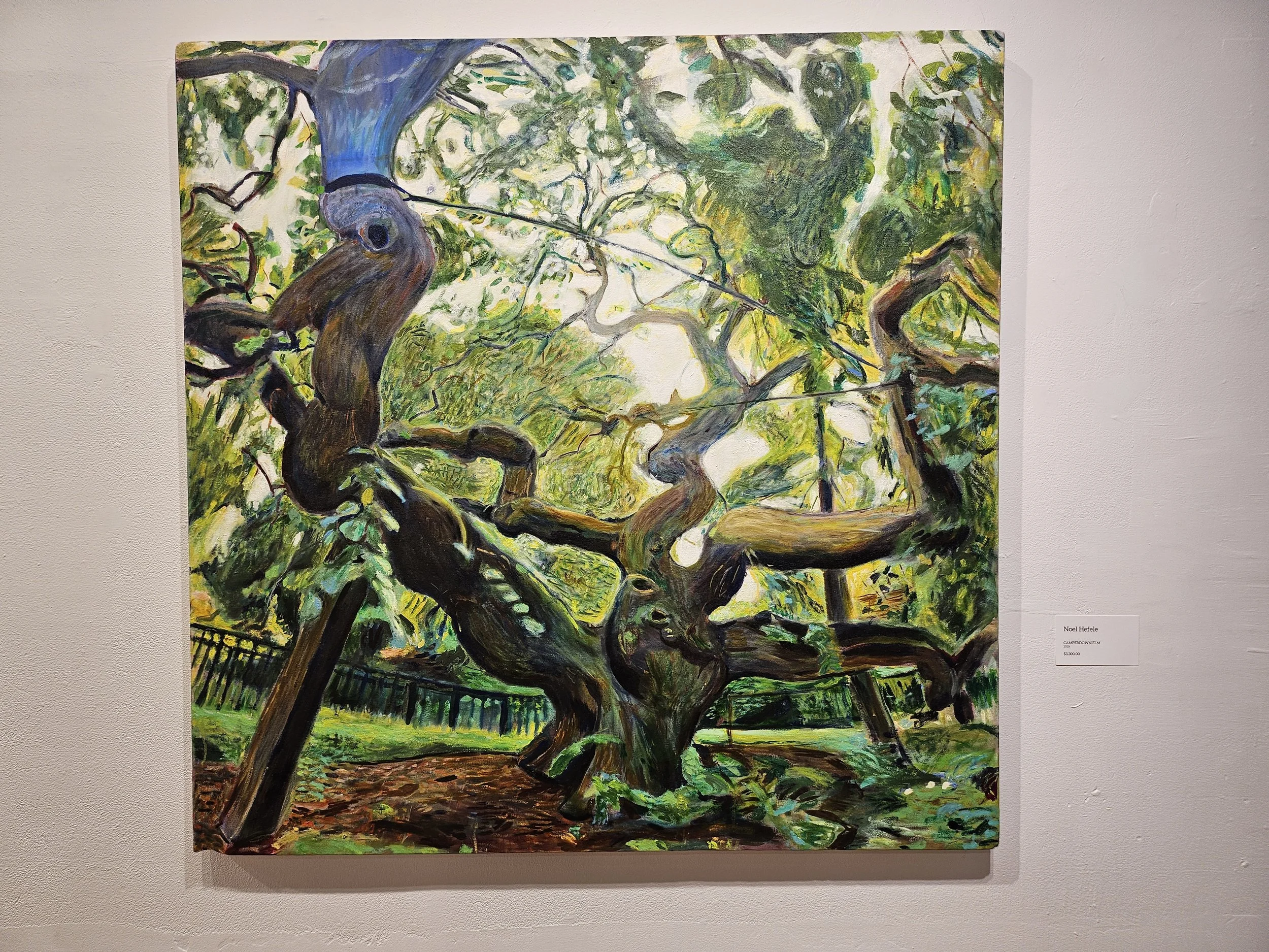 Hefele, Noel_CamperdownElm.jpg