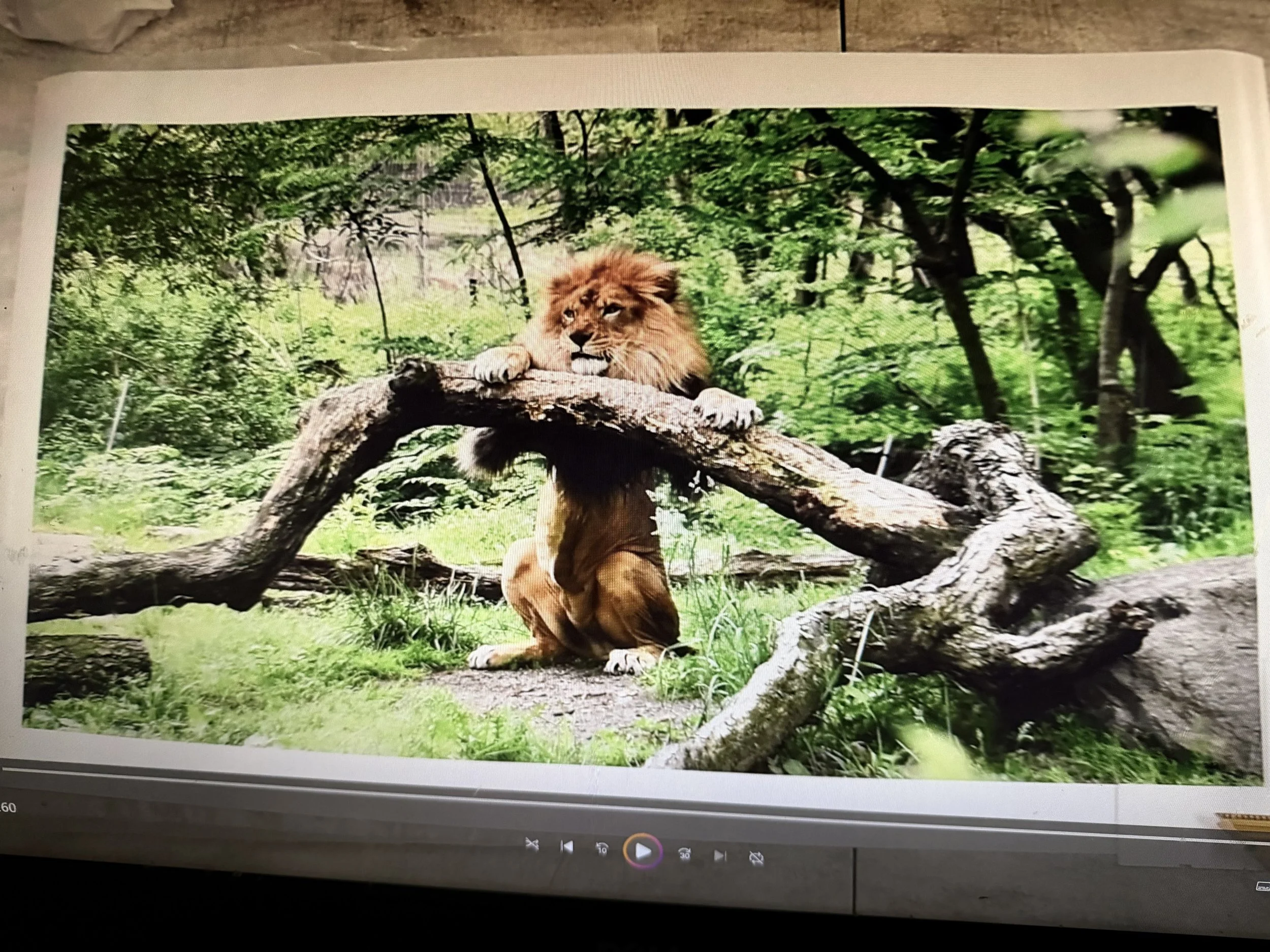 Carballo, Rob_Silent Encounter.jpeg