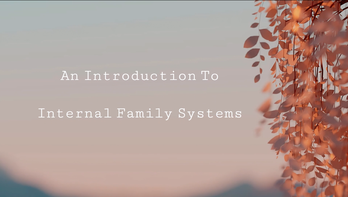 An Introduction to Internal Family Systems