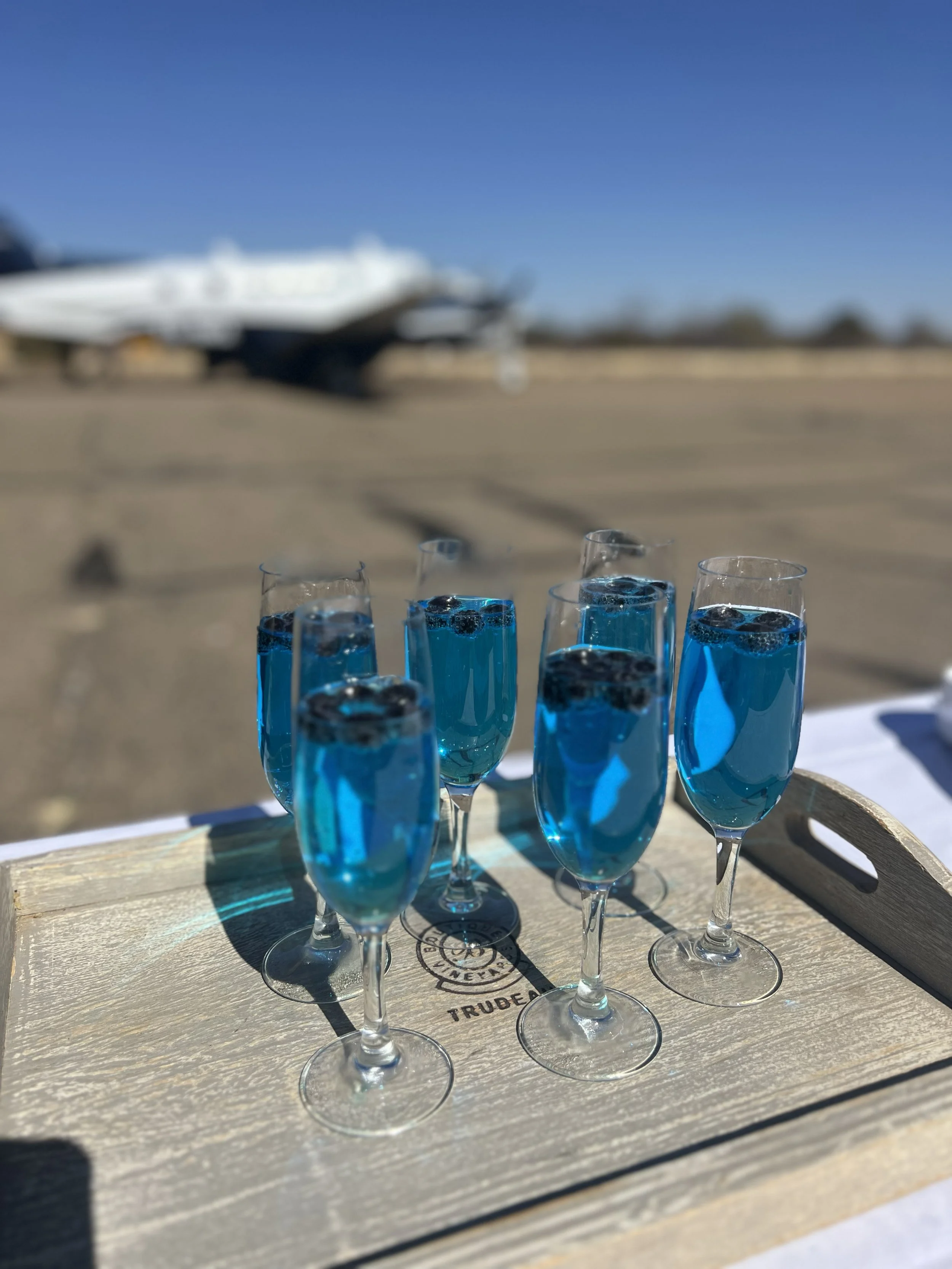 VYG_Safari_PrivateCharter_Cocktails.jpg