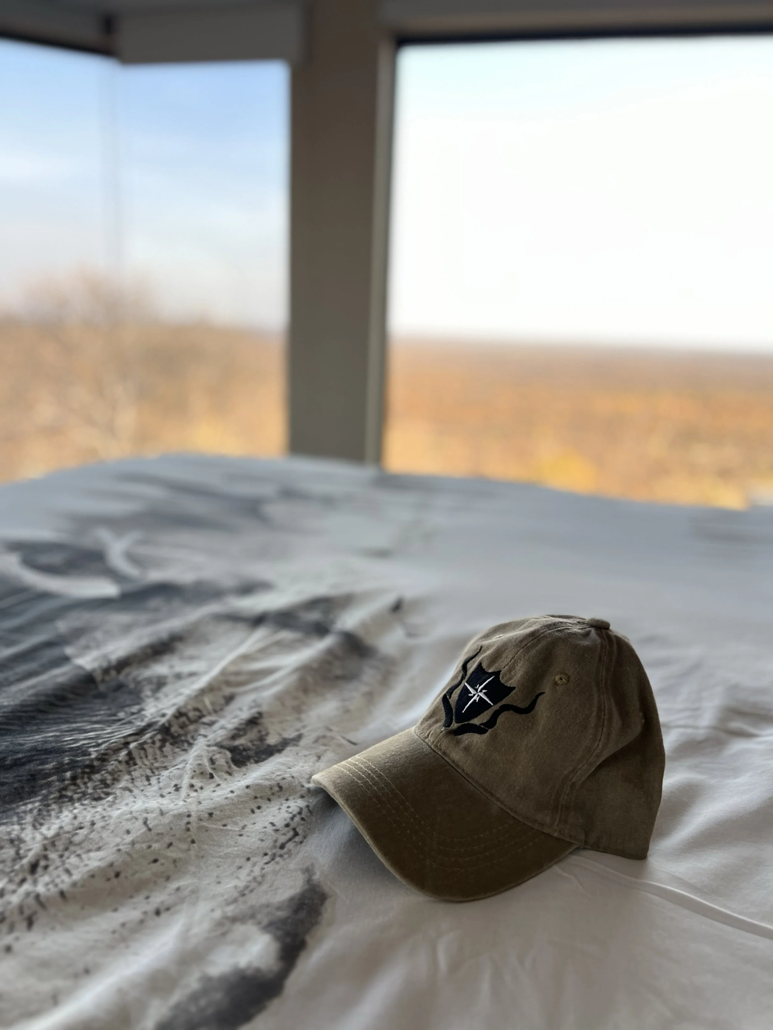 VYG_Hat_view_lodge.jpg