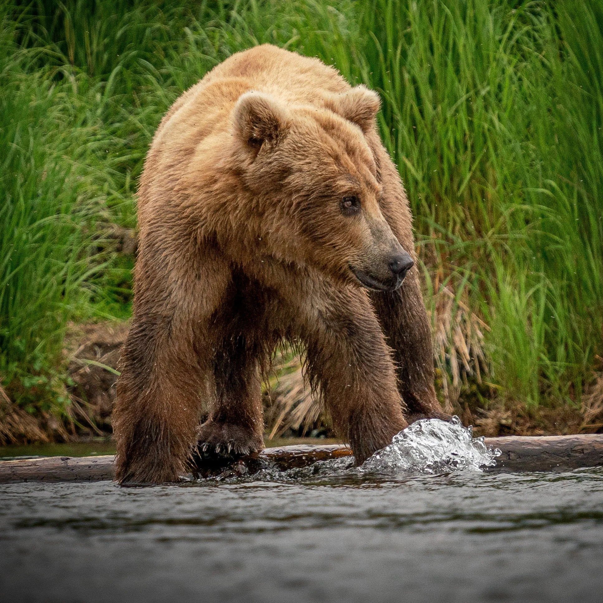 FC40FABF-271A-4C4F-BBFA-2F654750B5E1 2.JPG