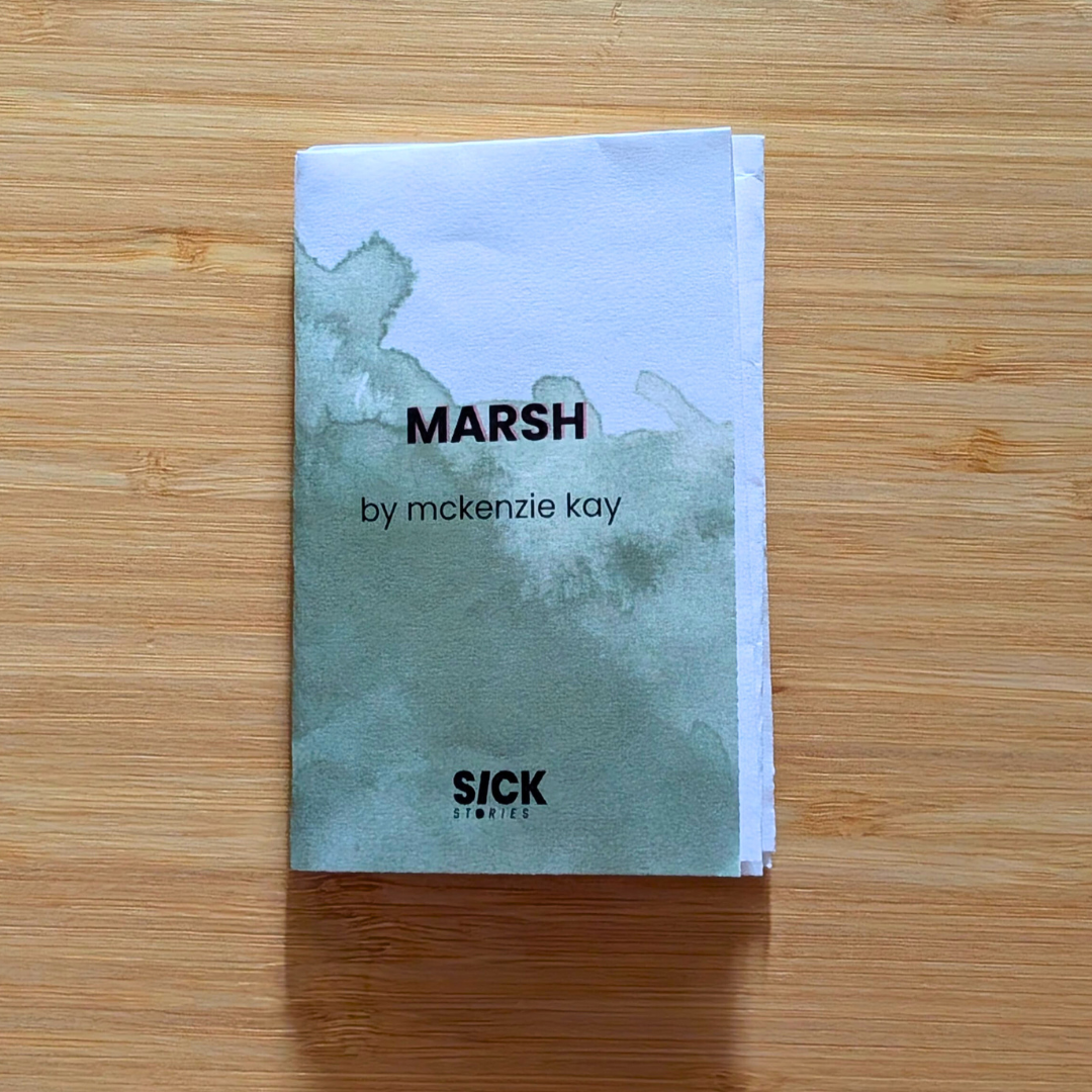 Cover of Marsh