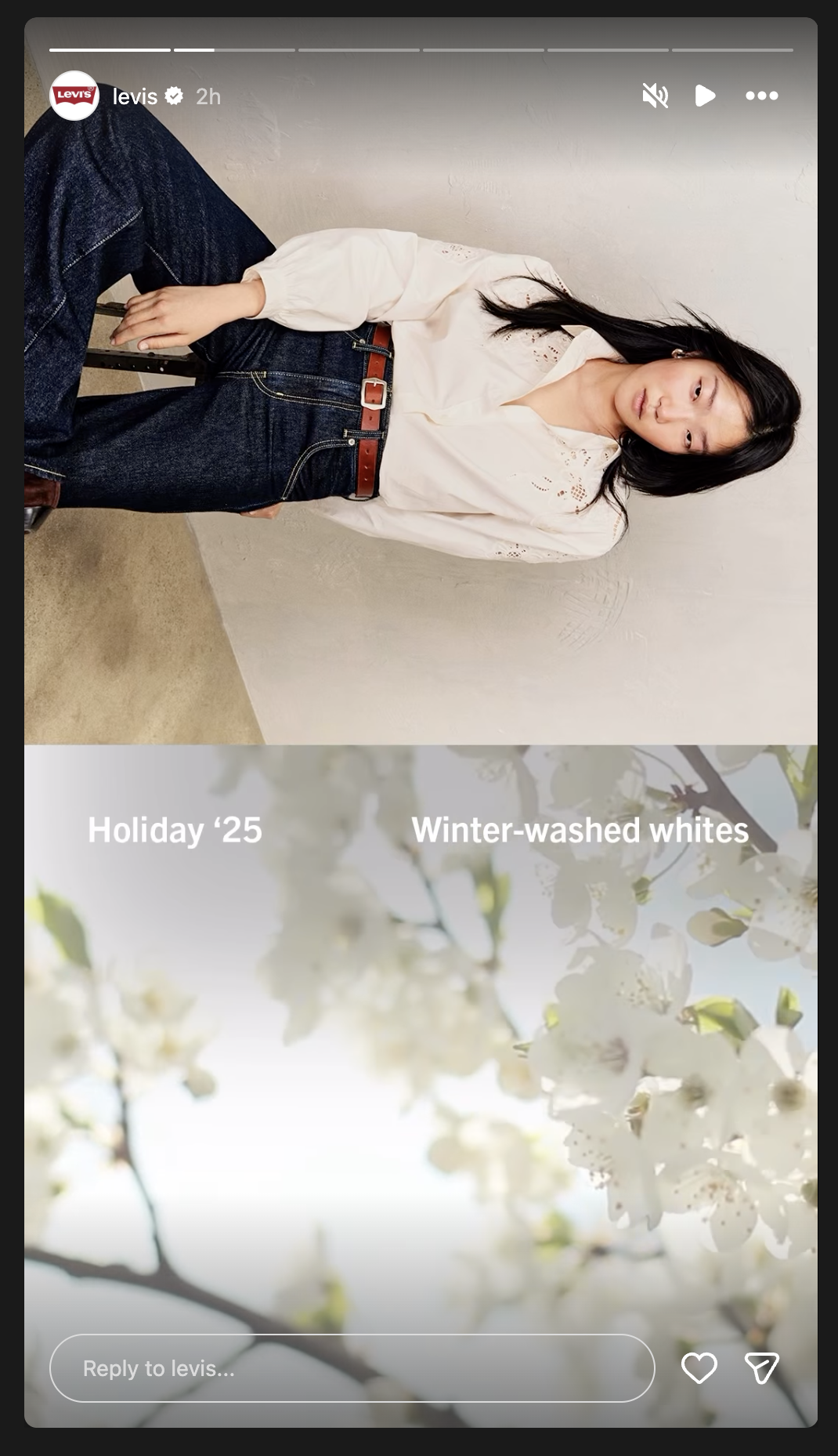 Screenshot 2025-11-12 at 6.09.33 PM.png