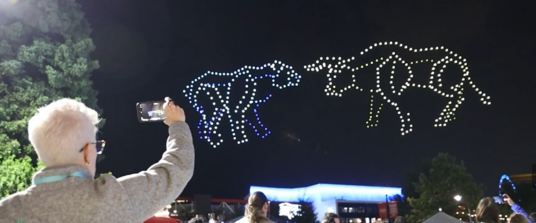 An image from the Baird drone show depicting a spectator marveling at the scale of the Bear and Bull fight scene.