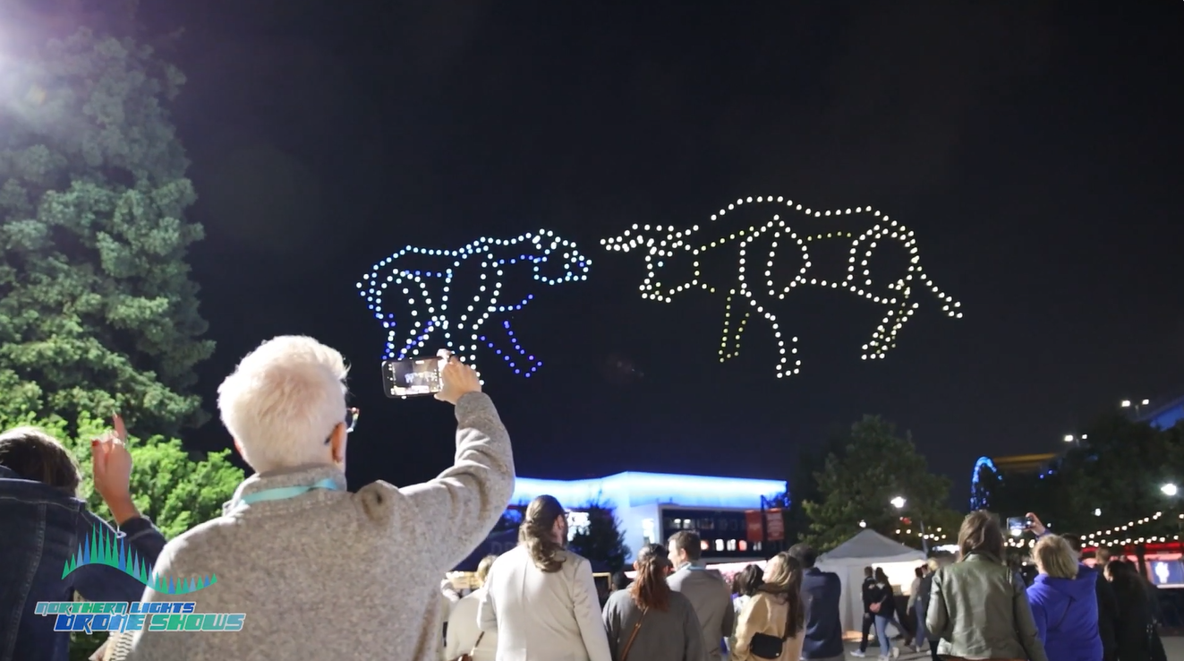 An image from an NLDS drone show showcasing a spectator be amazed at the display.