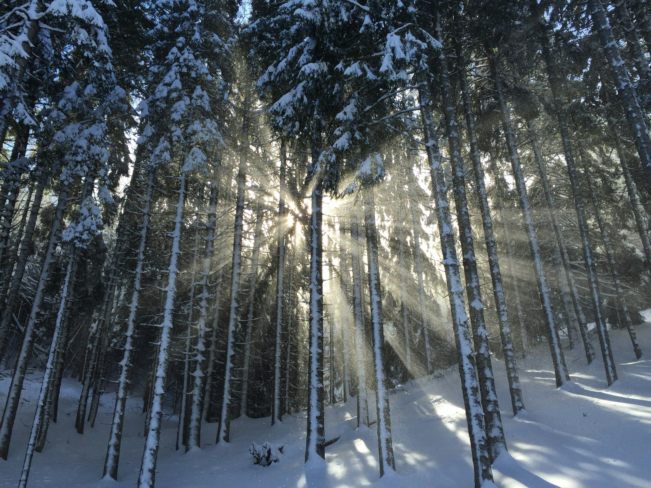 Embracing the Winter Solstice