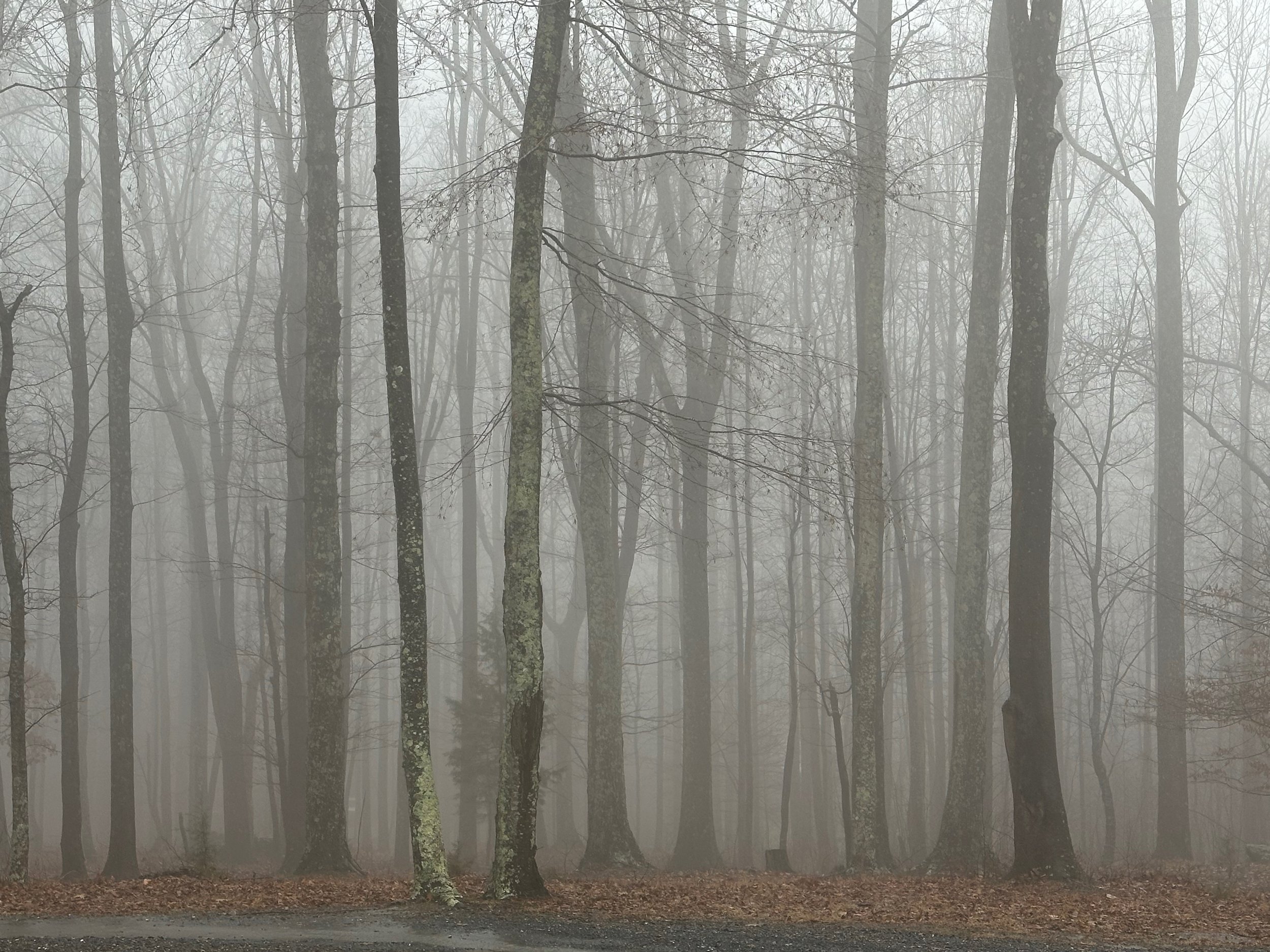 Breath, Body and Sound
