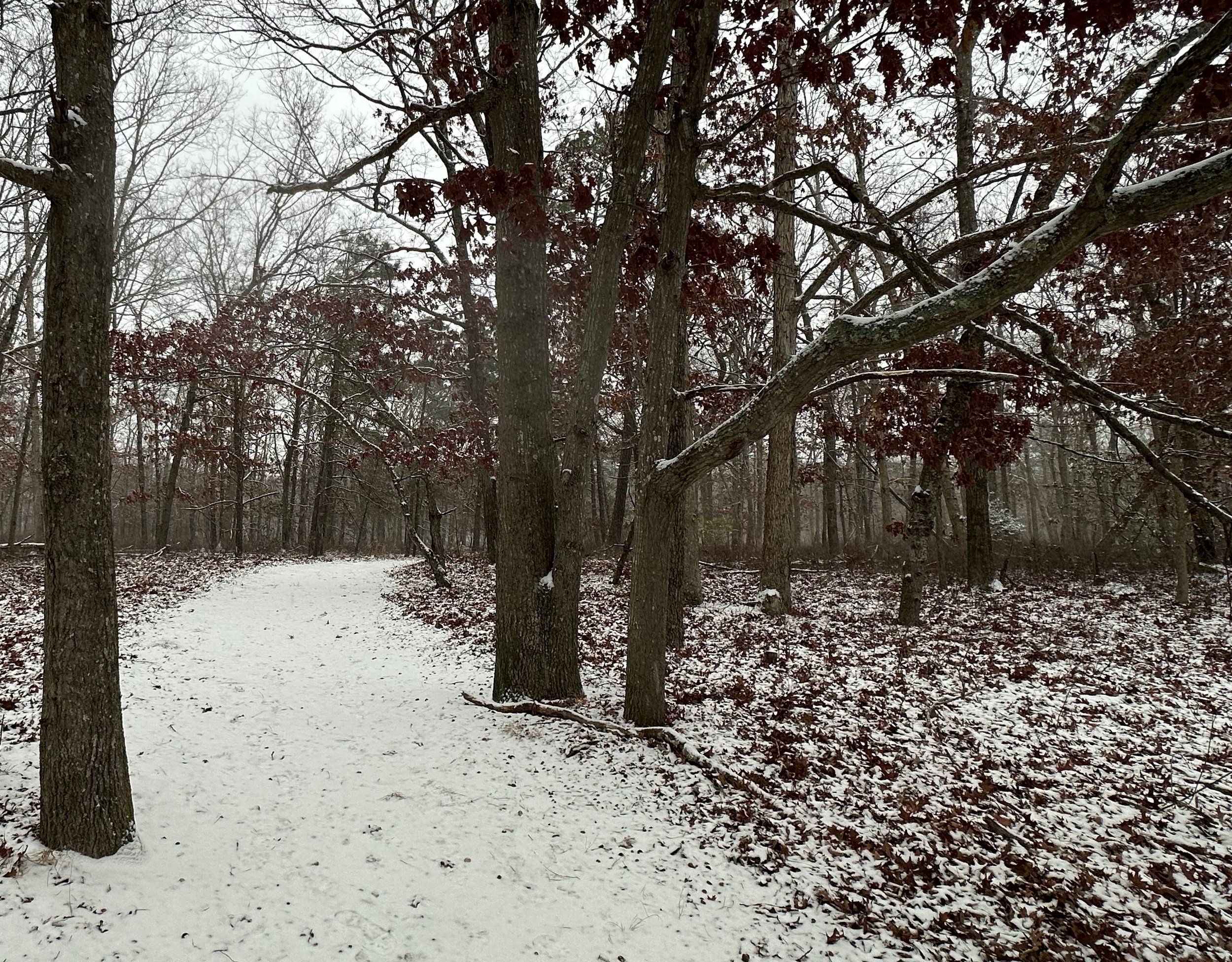 Crossing the Threshold: A Journey from Chaos to Connection