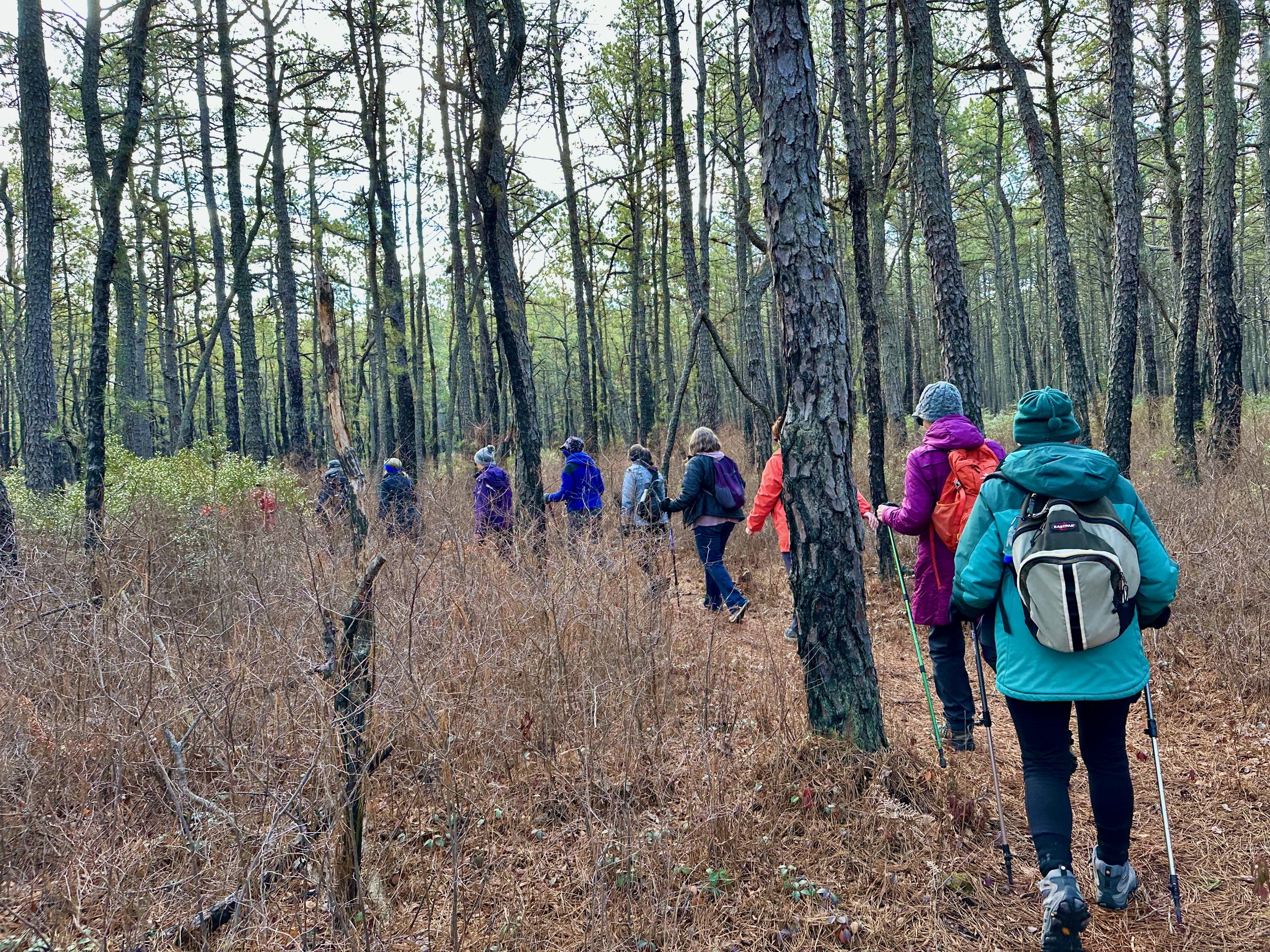 Sowing Seeds of Mindfulness, Embracing Spring’s Quiet Invitation