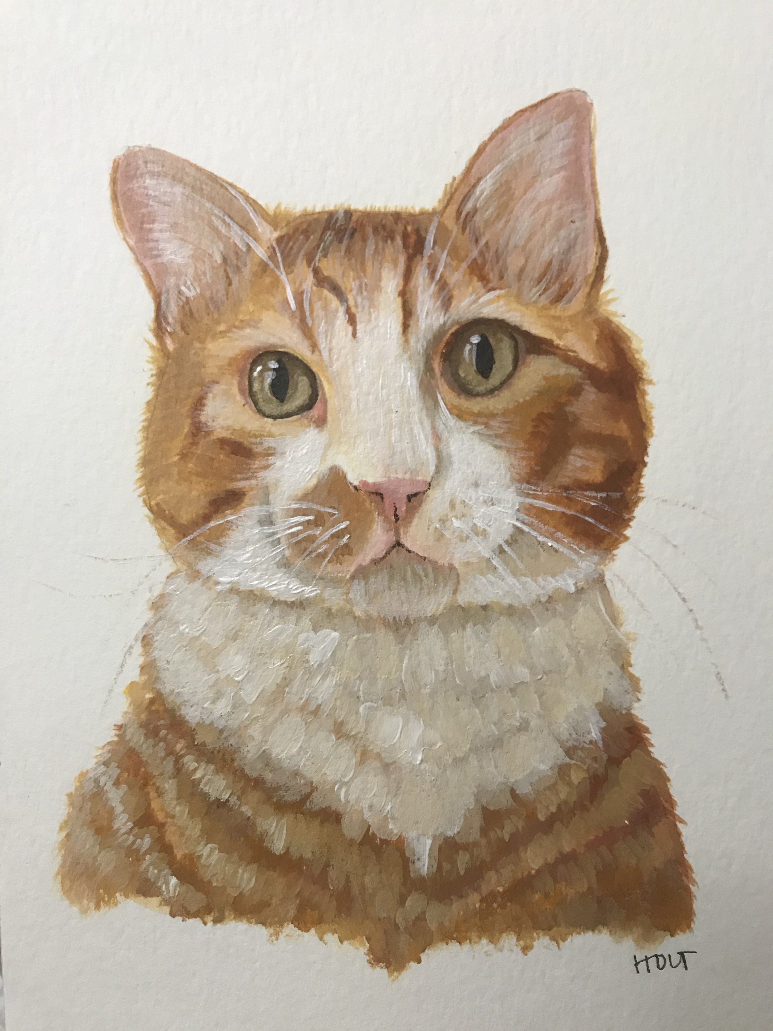 Acrylic 5x7 paper
