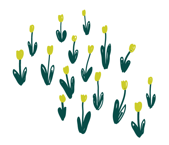 Drawing of yellow tulips.