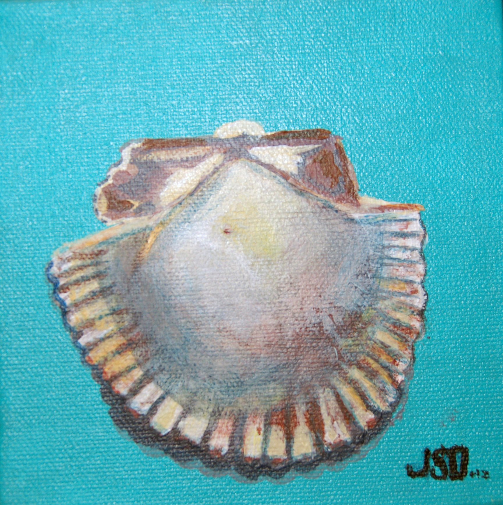Scallop inside 764 kb.jpg