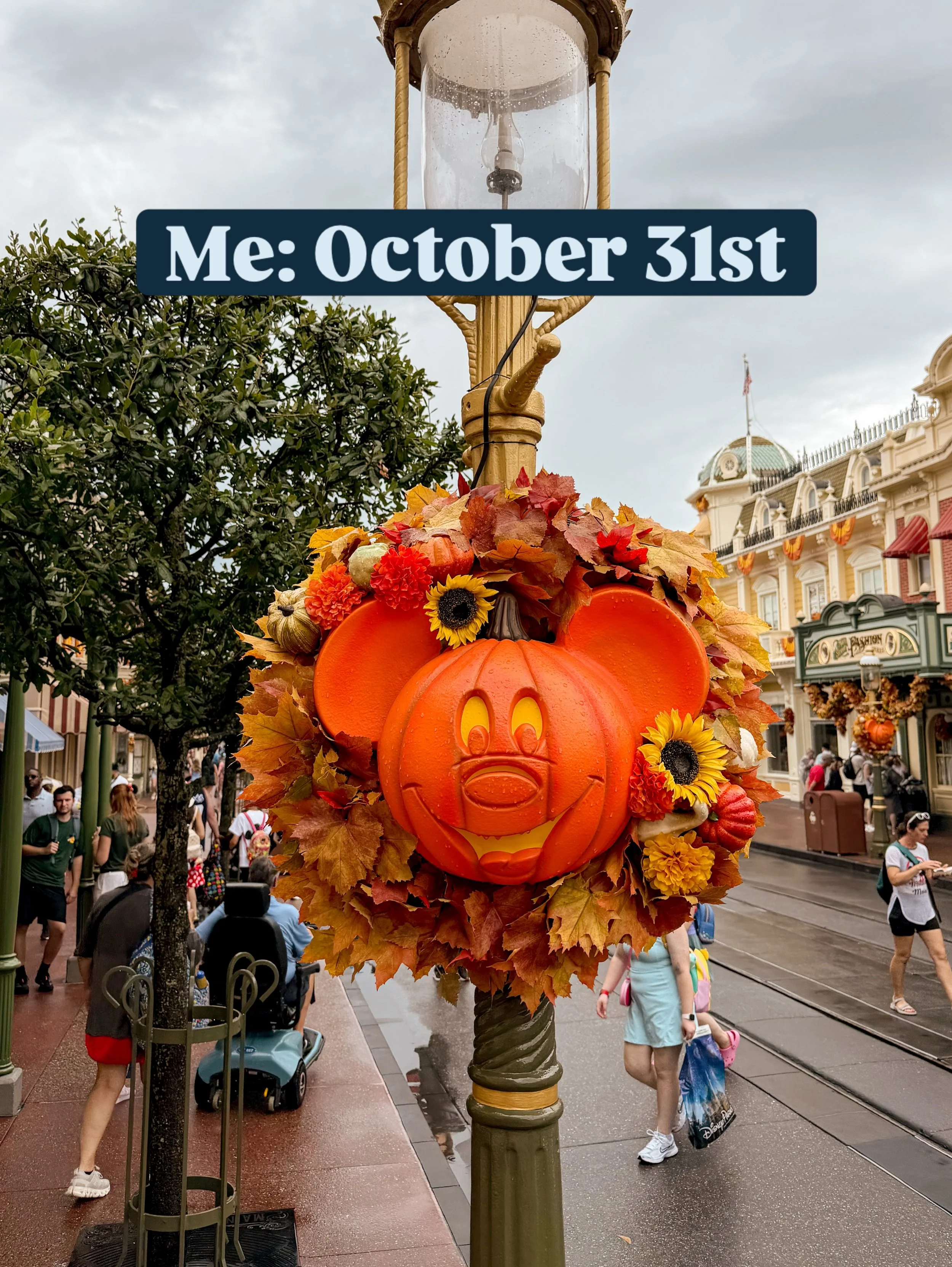 All in one weekend! 😍

What&rsquo;s your best guess for when Magic Kingdom will make the transition? I&rsquo;m thinking the 3rd but am open to being surprised!