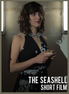 seashell twm site.png