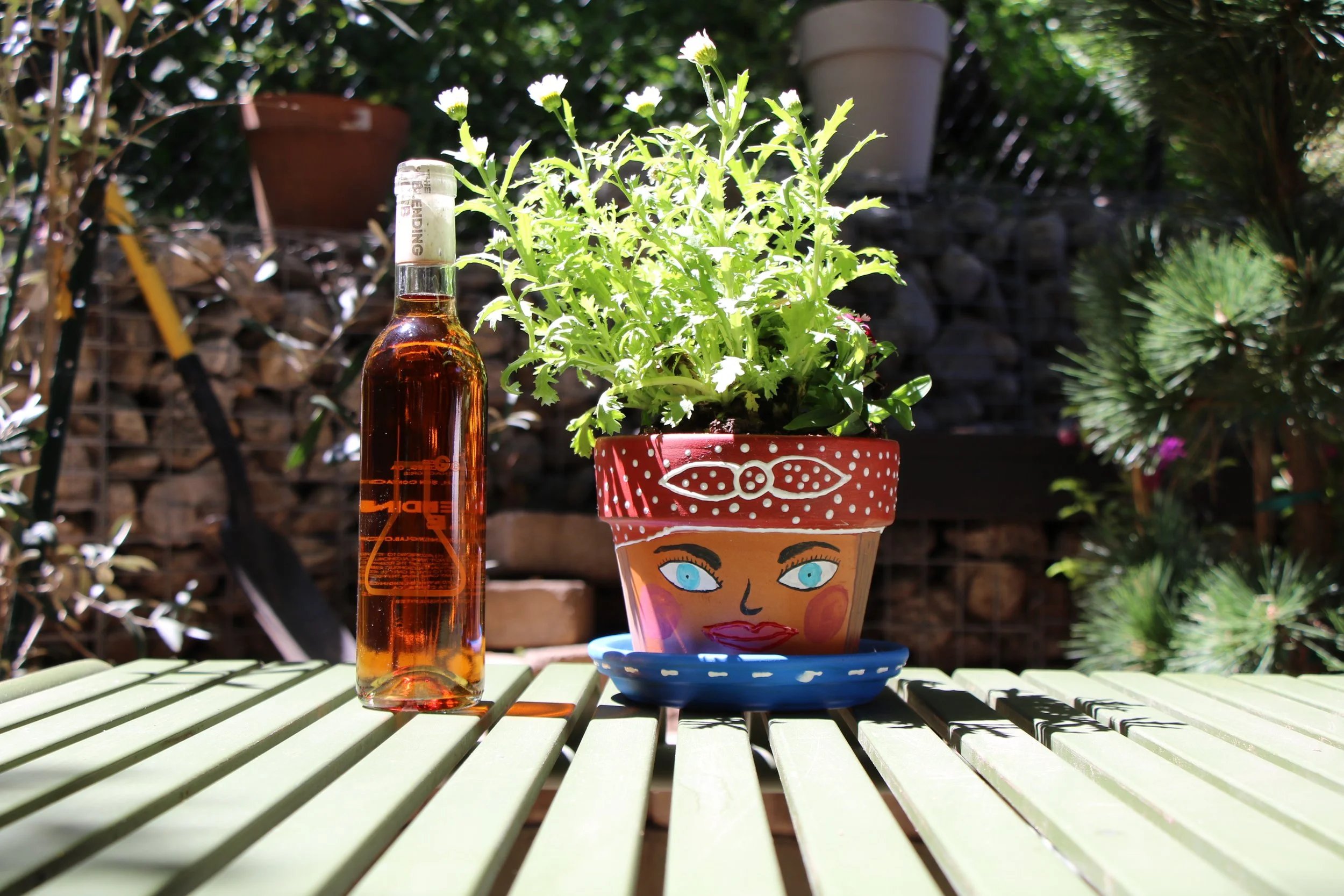 SIP, PAINT & PLANT - Book Today