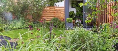 How to look after your lawn