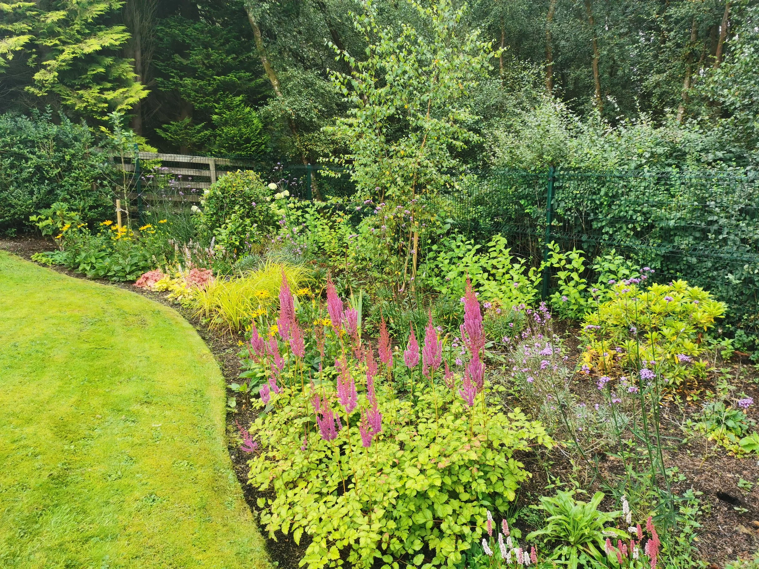 East Kilbride (Planting Design & Planting)