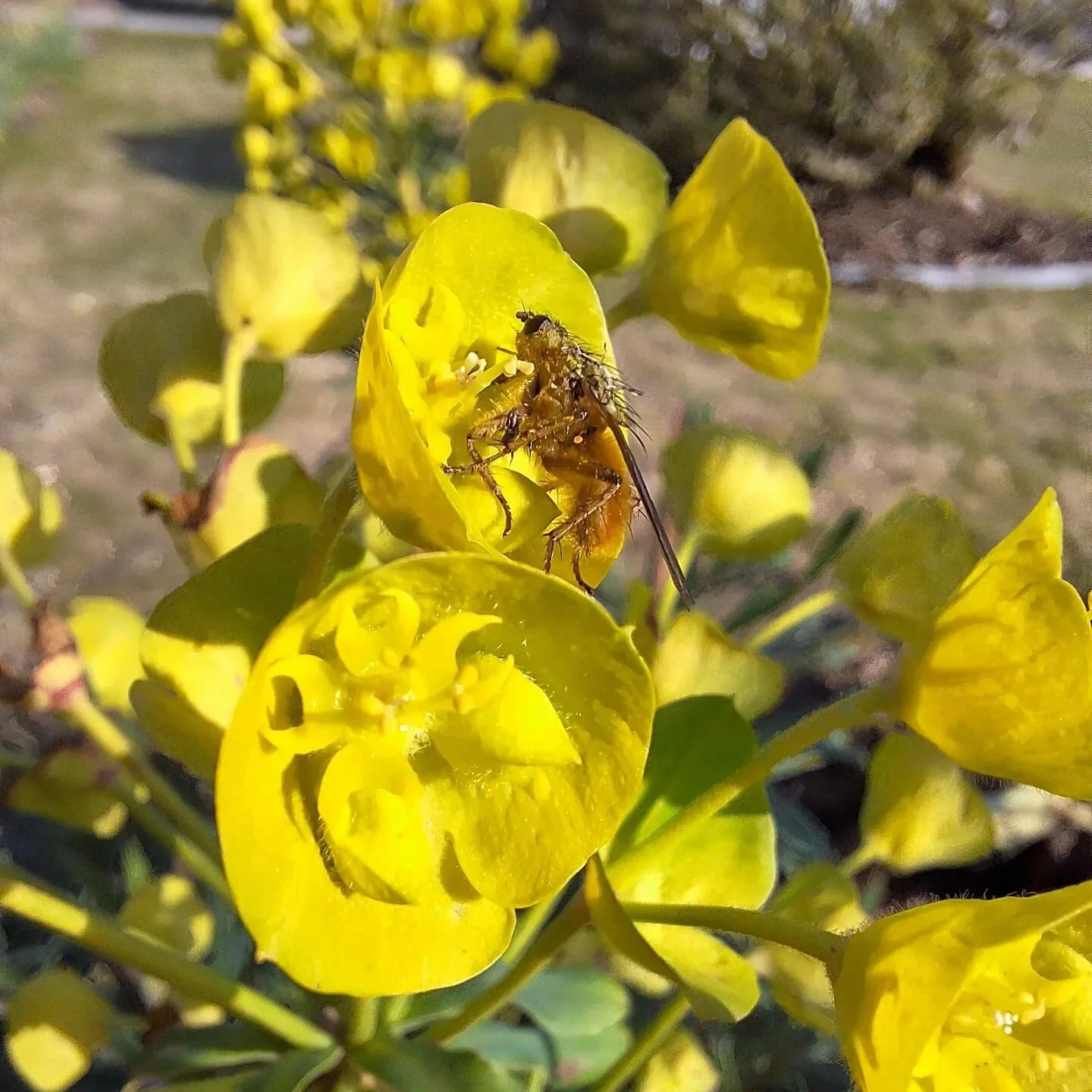 Glasgow Southside Garden Desing №2 — Tom Angel Studio