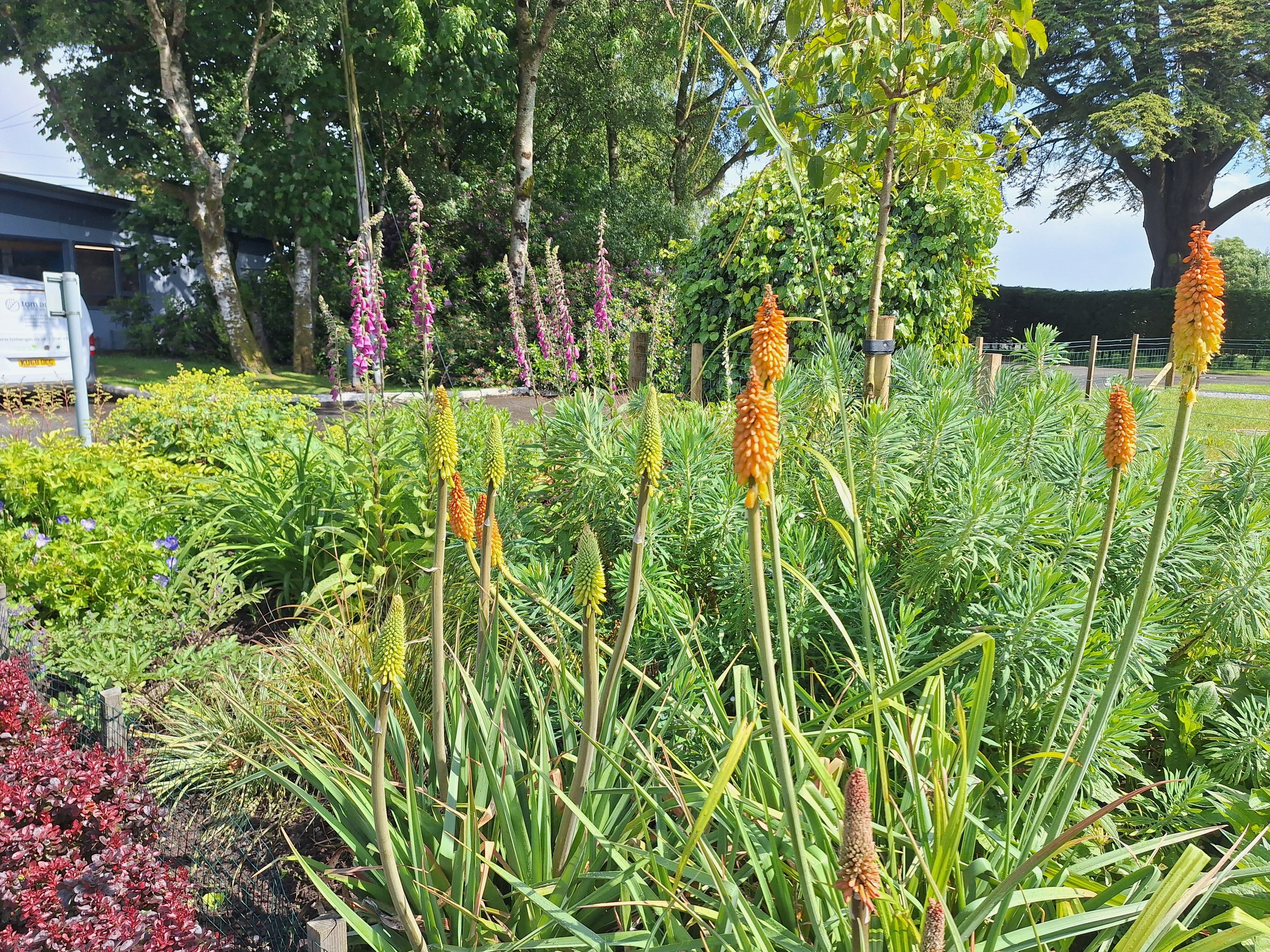 Argyll Caravan Park (Planting Design)