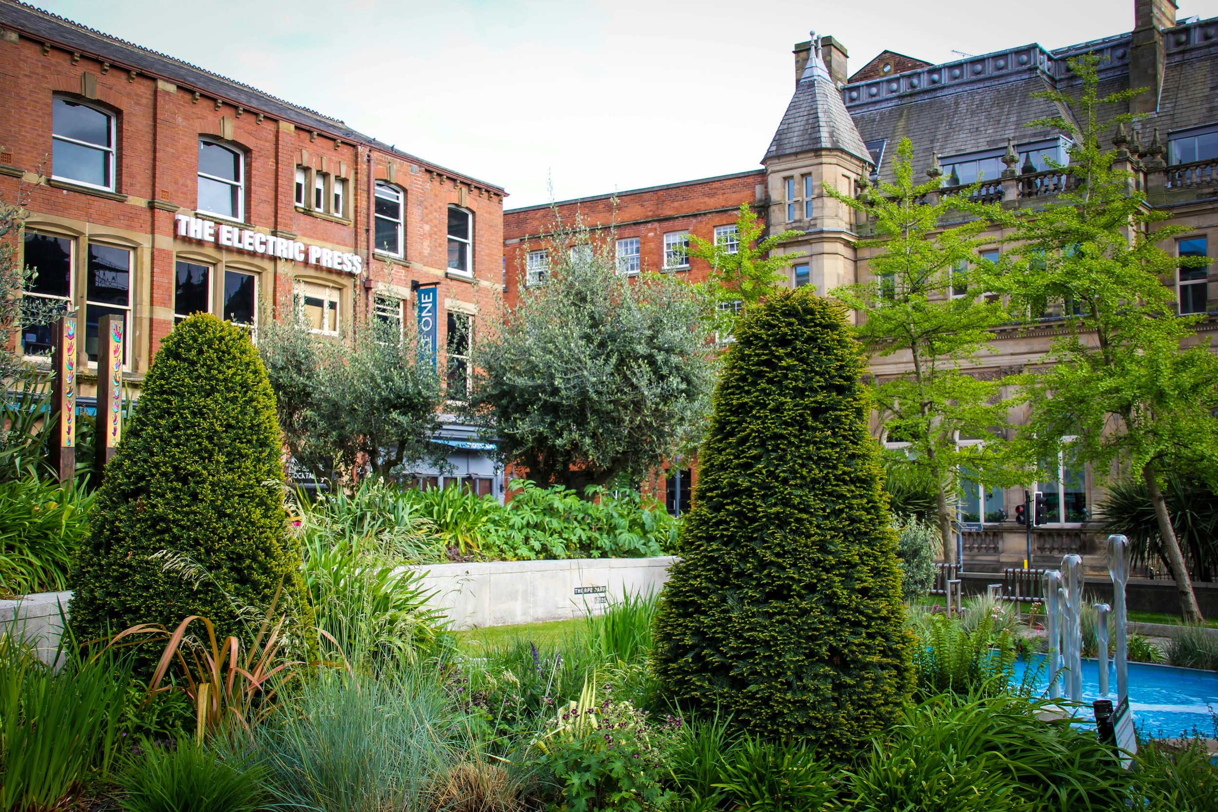 What is Biodiversity Net Gain: A Complete Guide