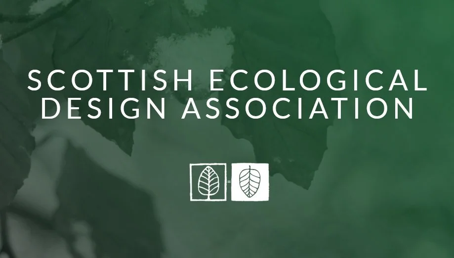 Tom Angel Studio joins SEDA