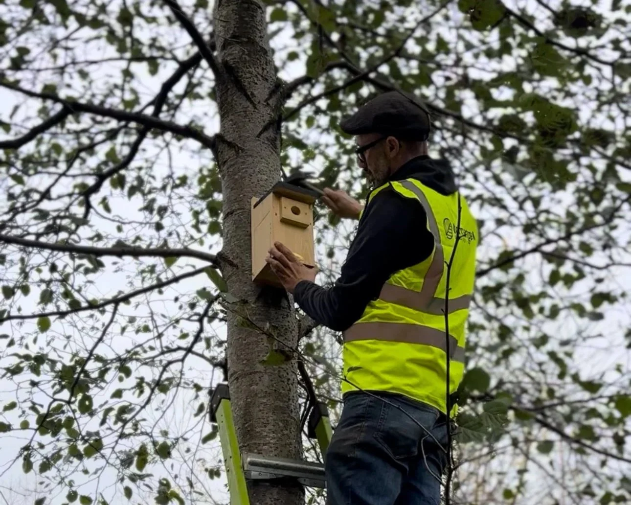 Biodiversity Enhancement for Commercial Properties: From Compliance to Competitive Advantage