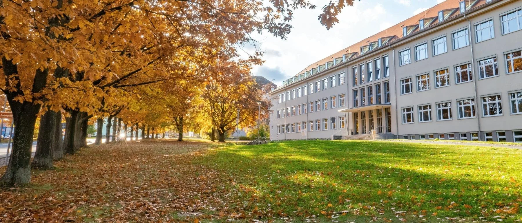 Horticultural, green space landscape consultancy across the UK