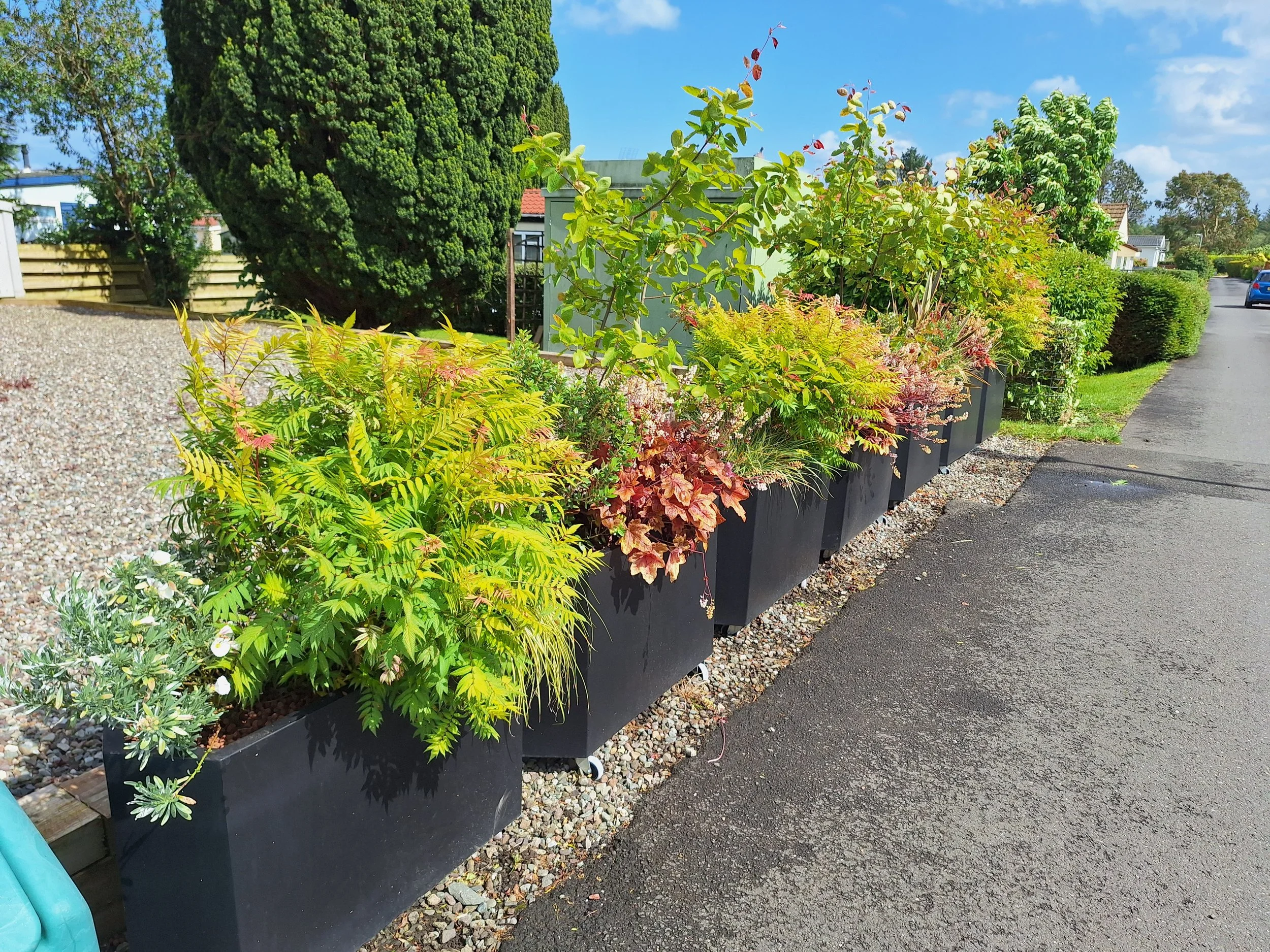 container-planting-schemes-glasgow.jpg