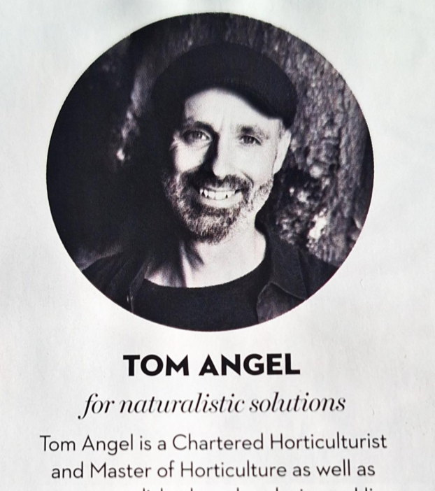 Homes & Interiors (2025)