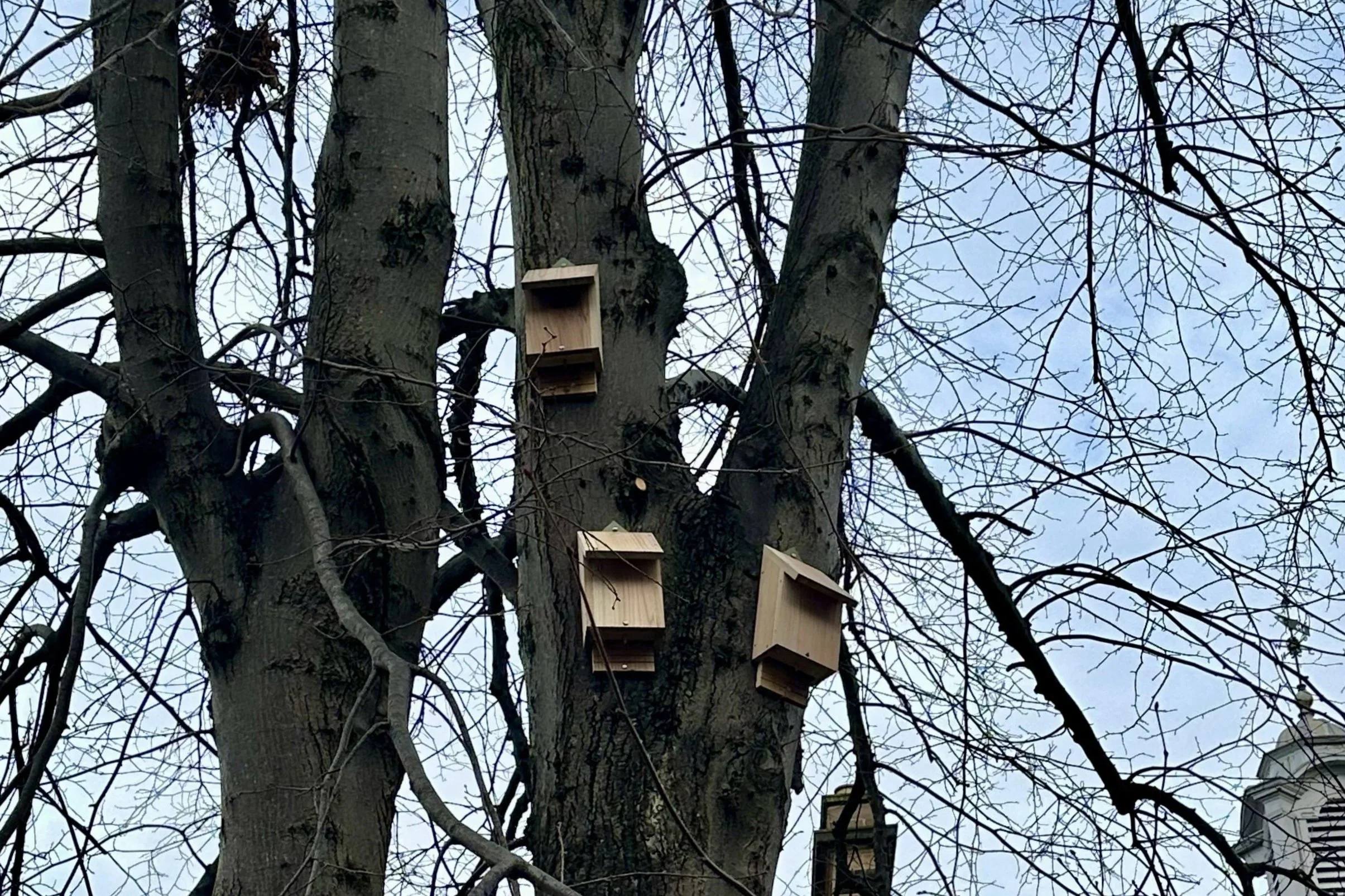 University of Glasgow (Biodiversity Installations)