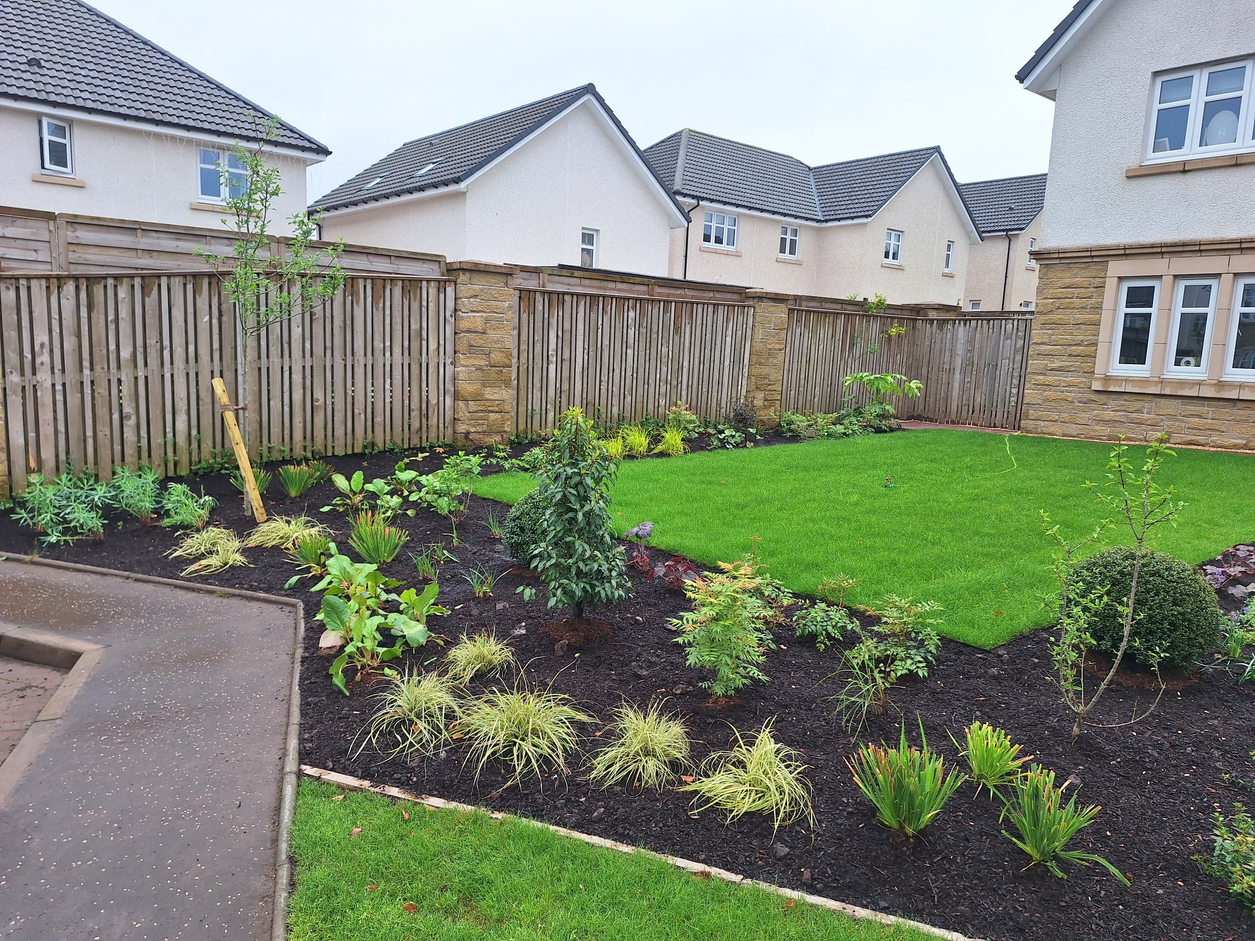 planting-design-experts-gardens-glasgow.jpg