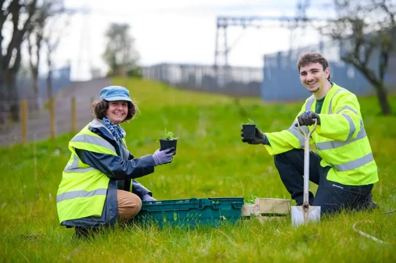 Scottish Power & BugLife (Biodiversity Installations)