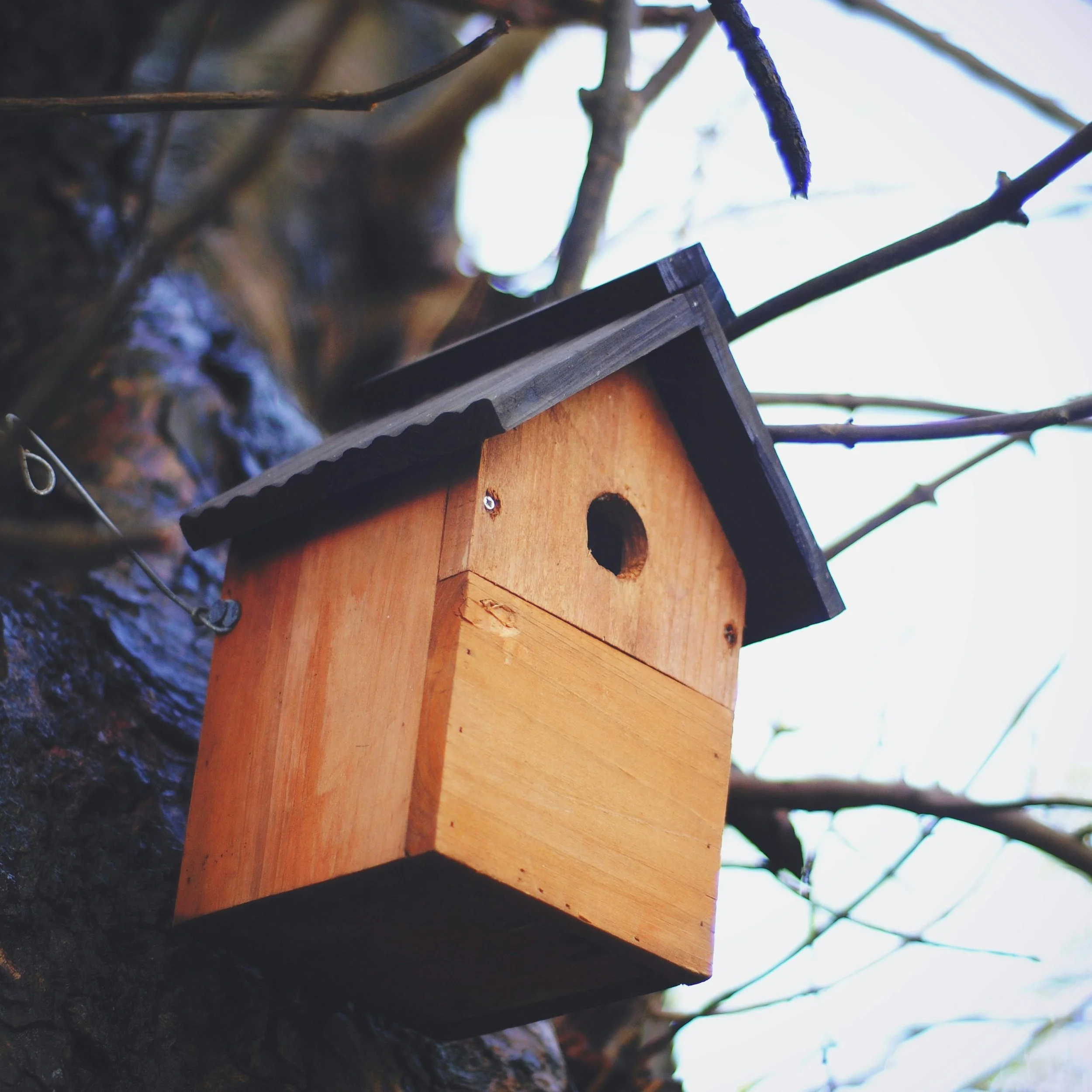 Nest boxes