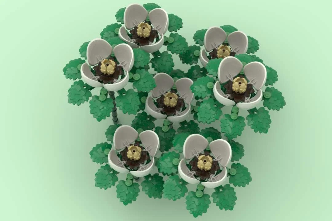 Magnolia Lego Set Render #3.jpg
