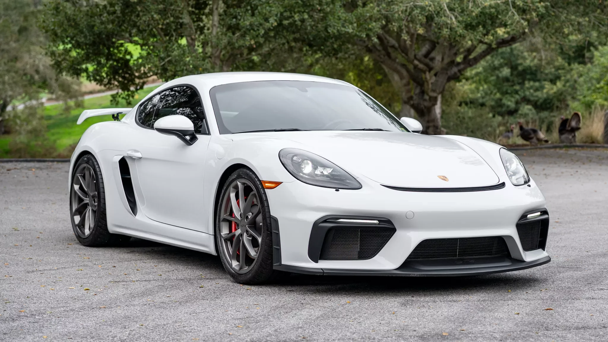 WhitePorsche-1.webp