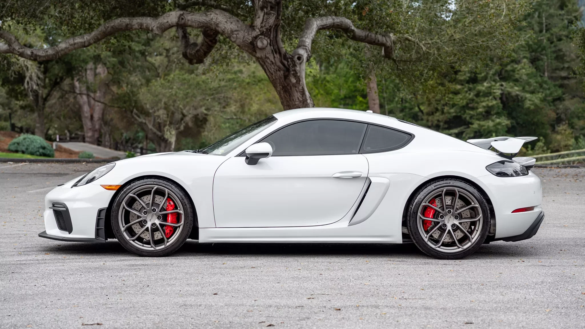 WhitePorsche-2.webp