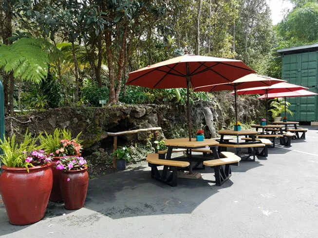 picnic tables.jpg
