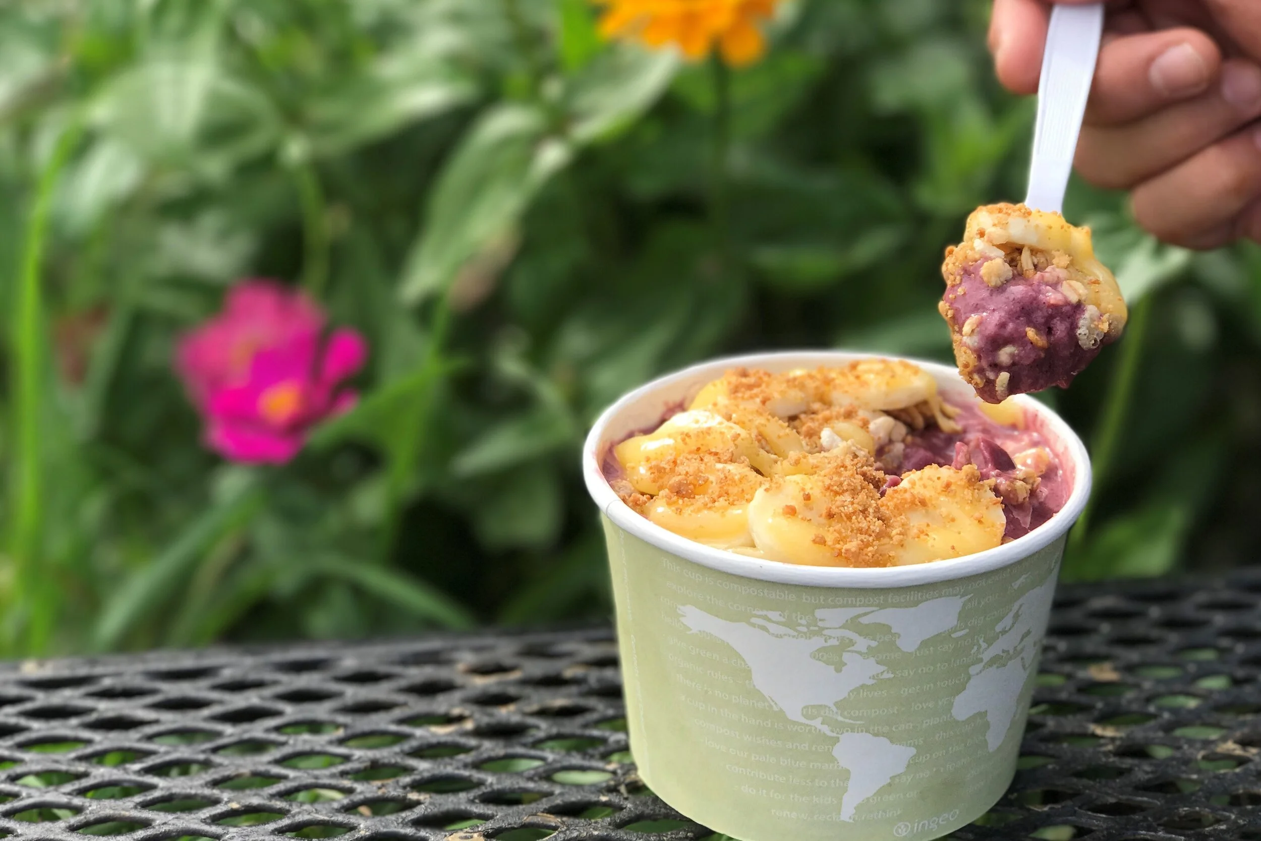 Copy of Acai Bowl.JPG