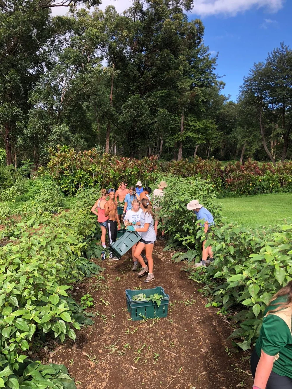 WhatsApp Image 2020-10-31 at 13.14.11.jpeg