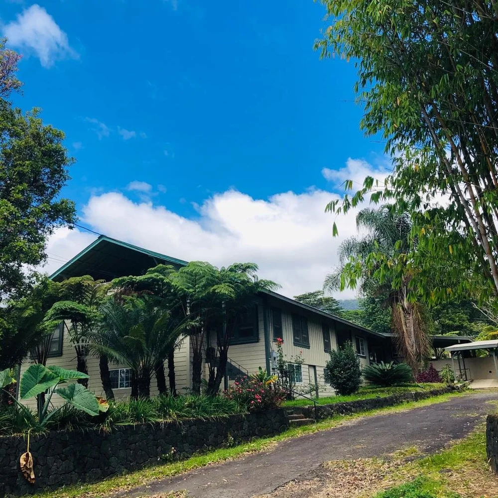 WhatsApp Image 2020-10-31 at 18.24.50.jpeg