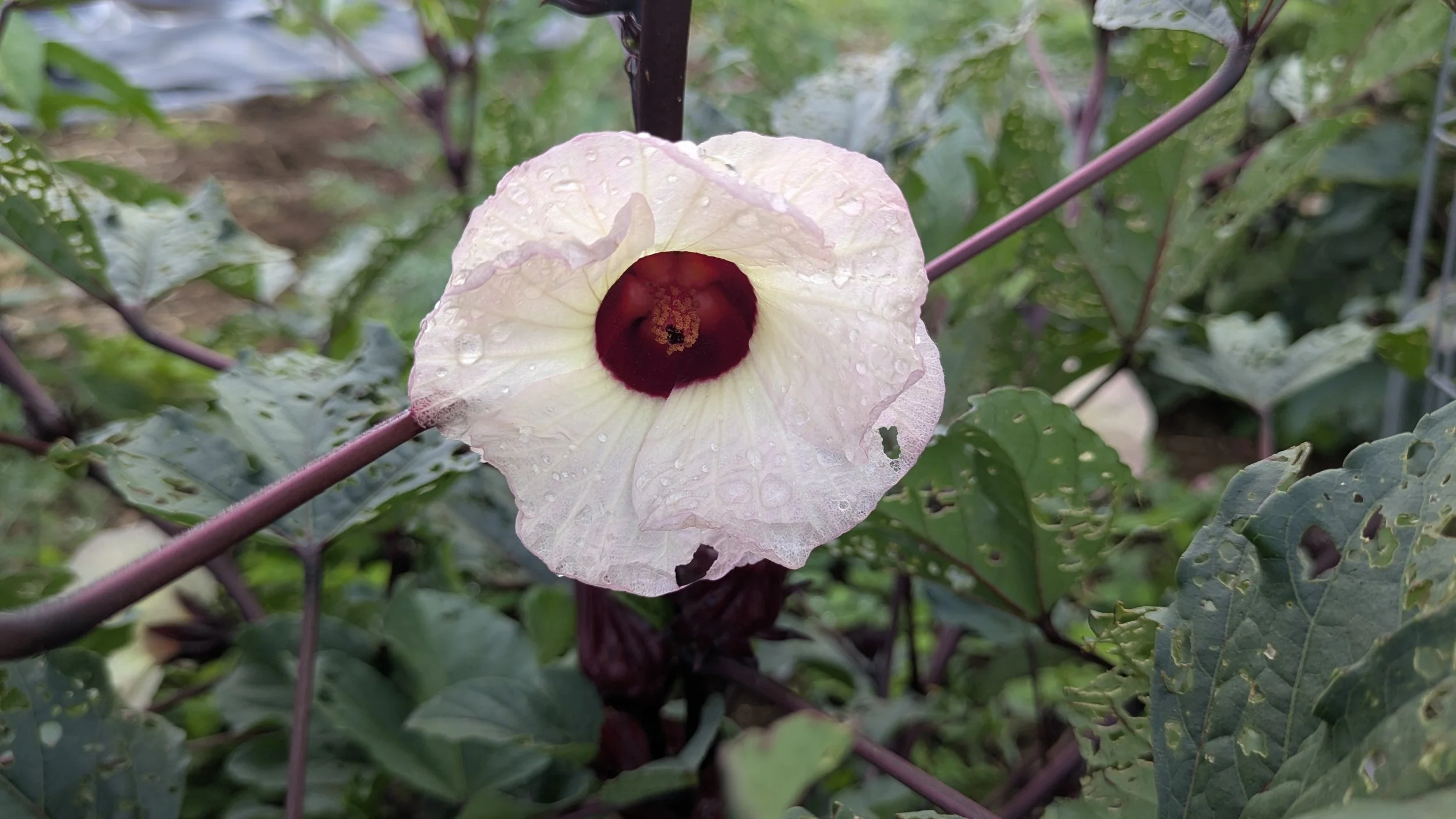 PXL_20251016_190922196 (2).jpg