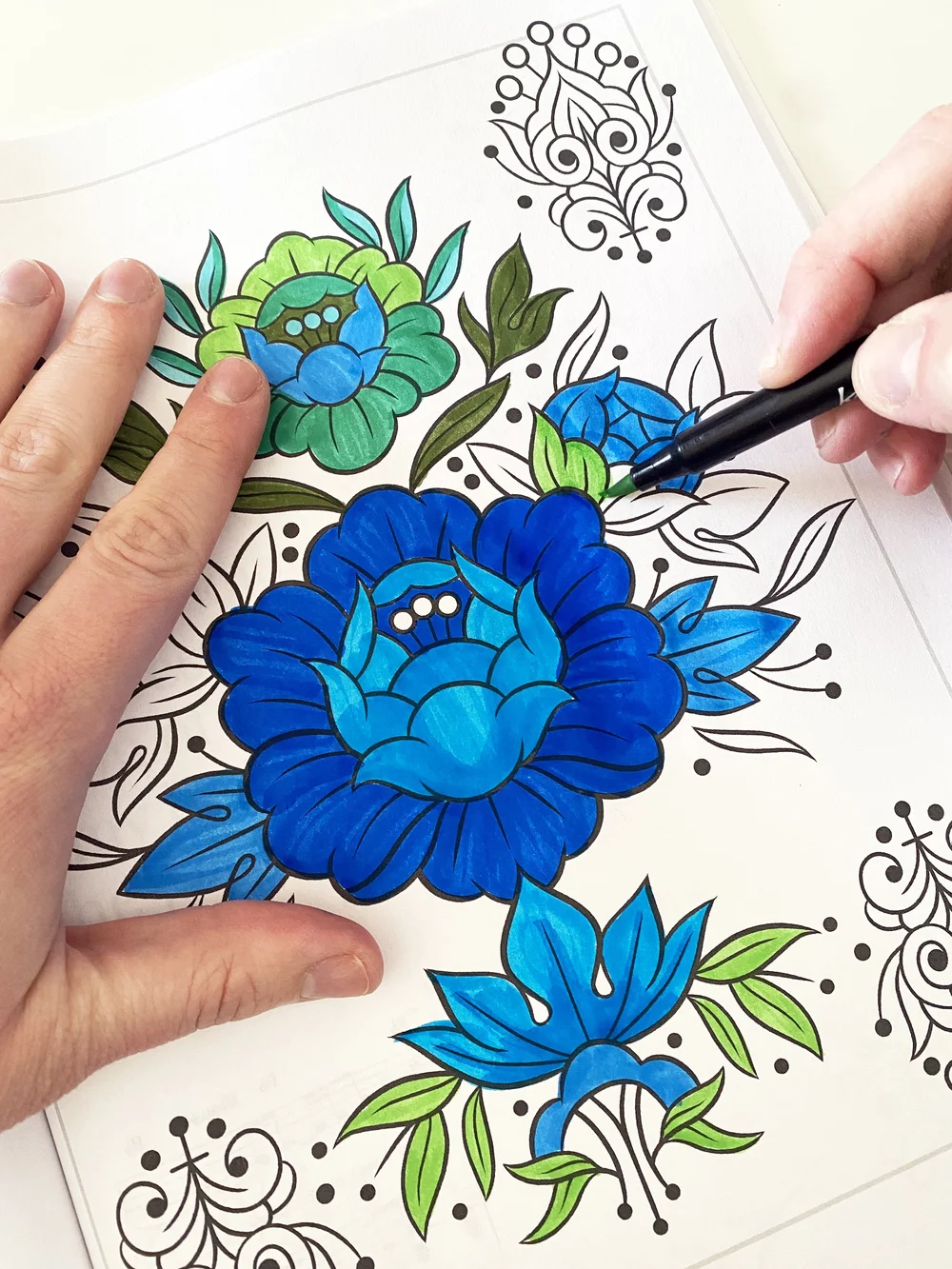 Conscious Coloring — The IDEAS Institute